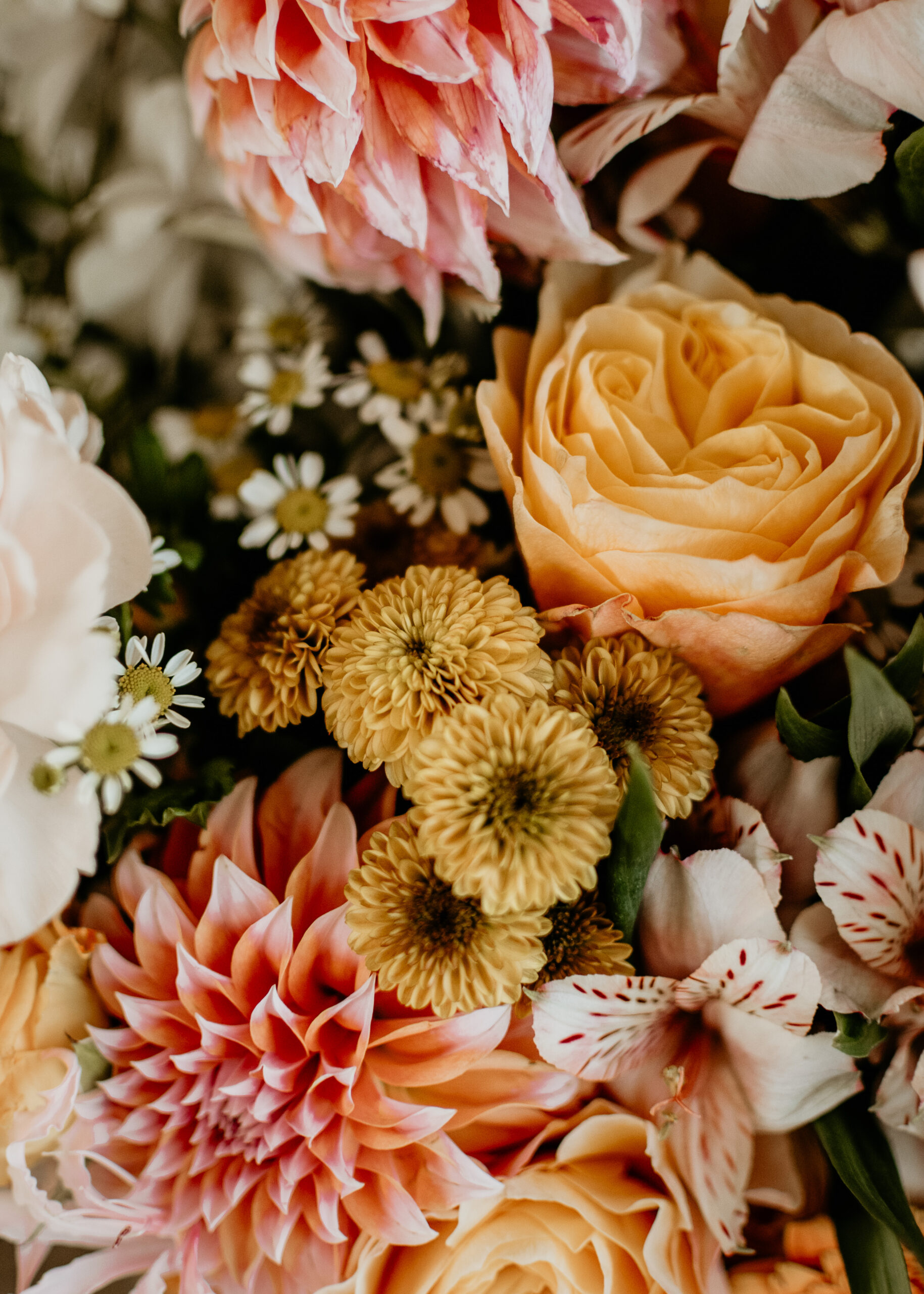 Close-up of a blush dahlia, peach garden rose, golden blooms, and alstroemeria in a bridal bouquet