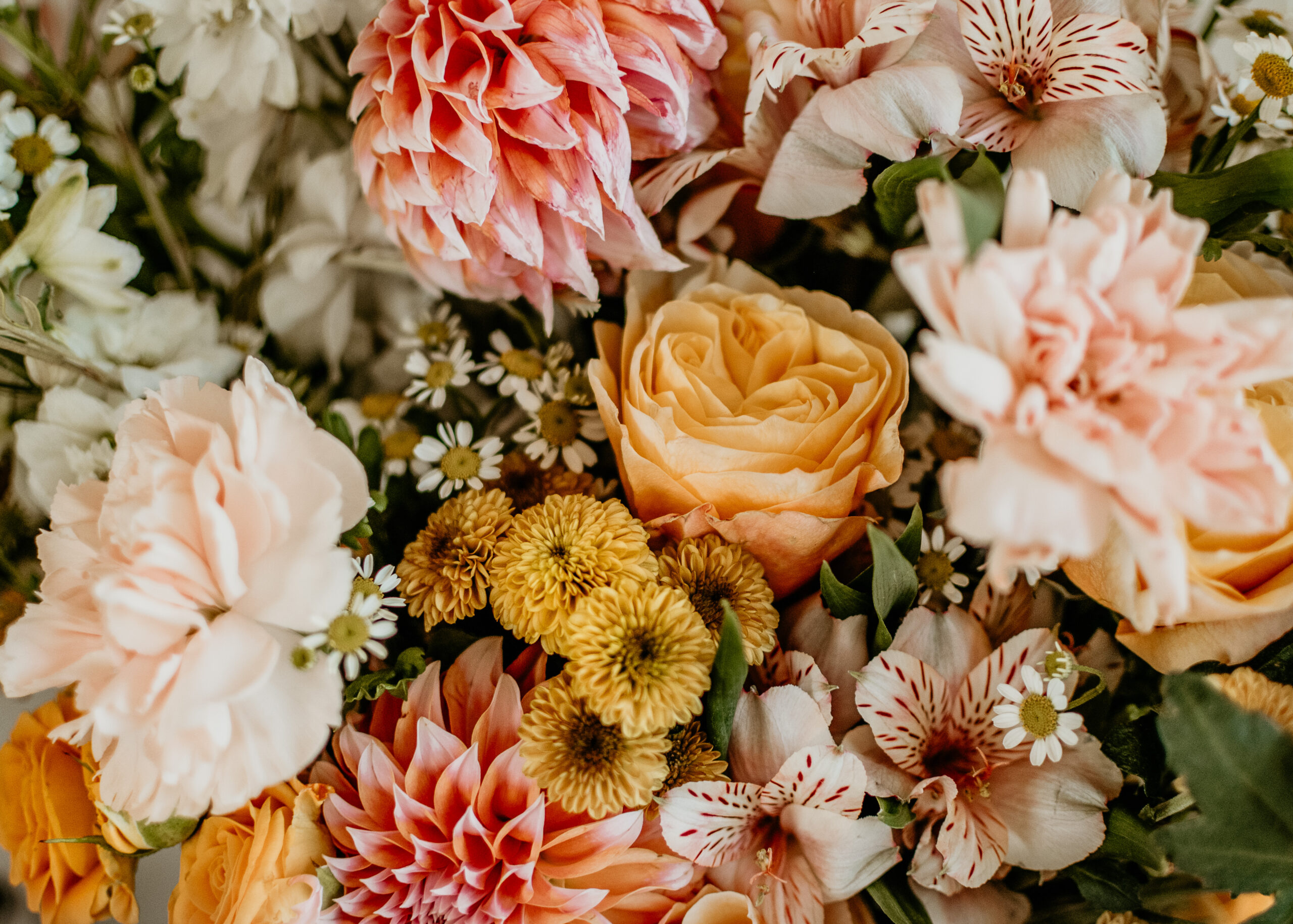 Close-up of dahlias, carnations, garden roses, and golden button blooms in a warm-toned wedding bouquet