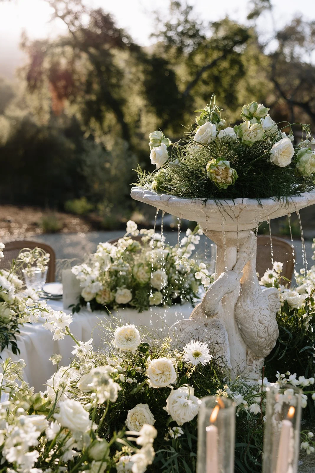 white flowers garden